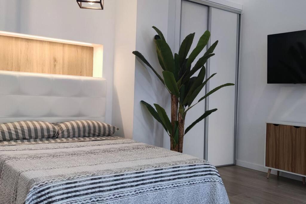 Estudio Diseno Cerca Ciudad Ciencias Vt-55211-V فالنسيا المظهر الخارجي الصورة