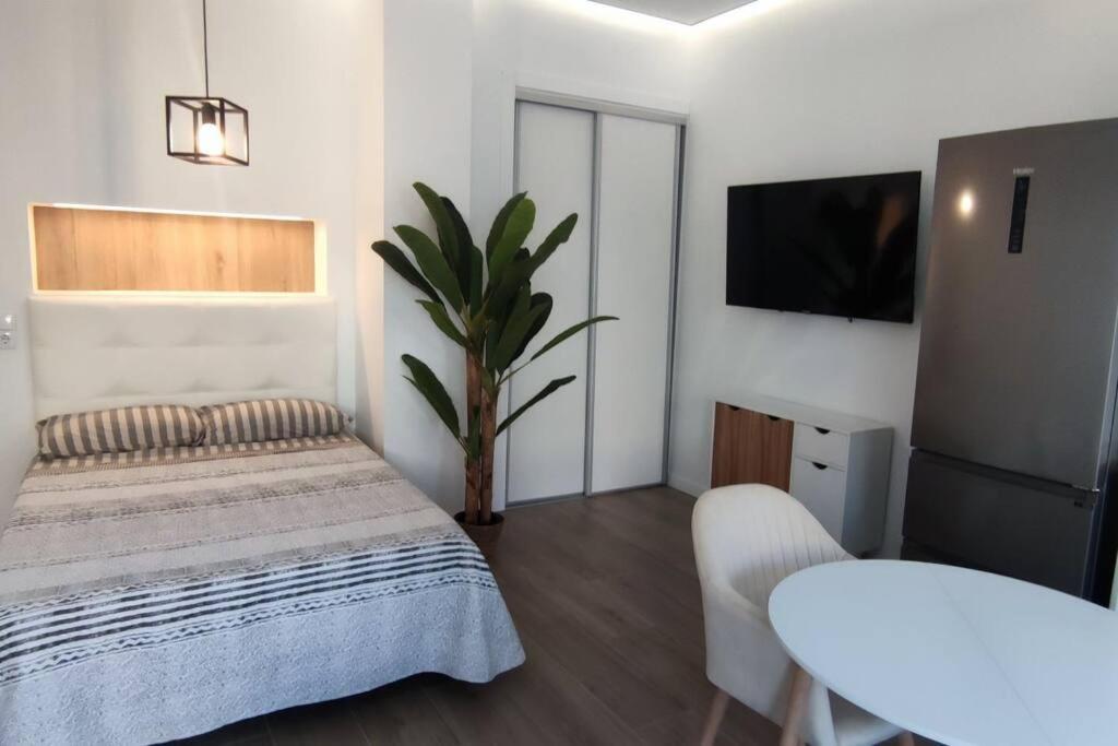 Estudio Diseno Cerca Ciudad Ciencias Vt-55211-V فالنسيا المظهر الخارجي الصورة